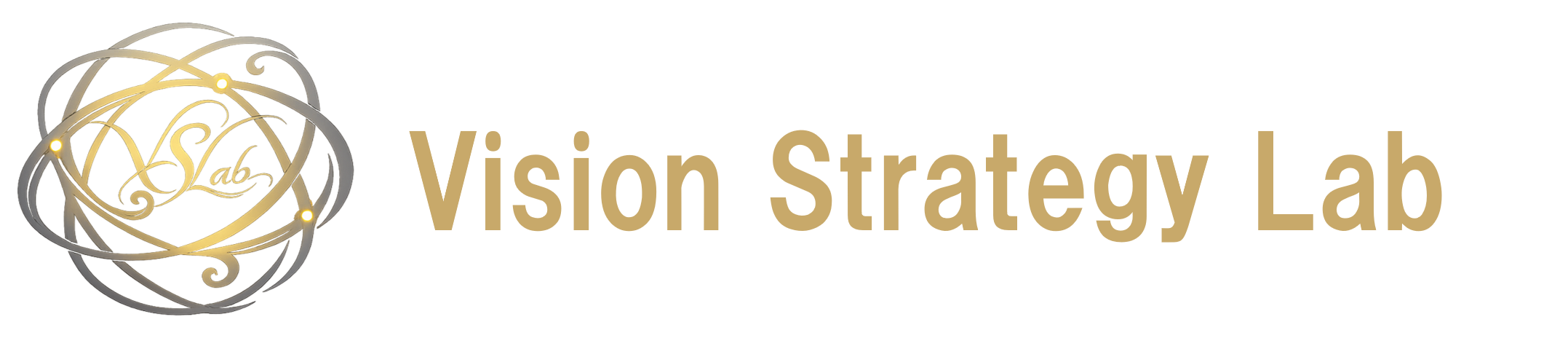 Vision Strategy Lab
